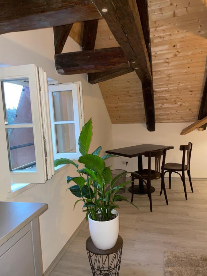 24-7 Apartment Pasov Exteriér fotografie